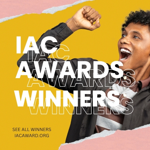 Winners of the 2024 Internet Advertising Competition Awards